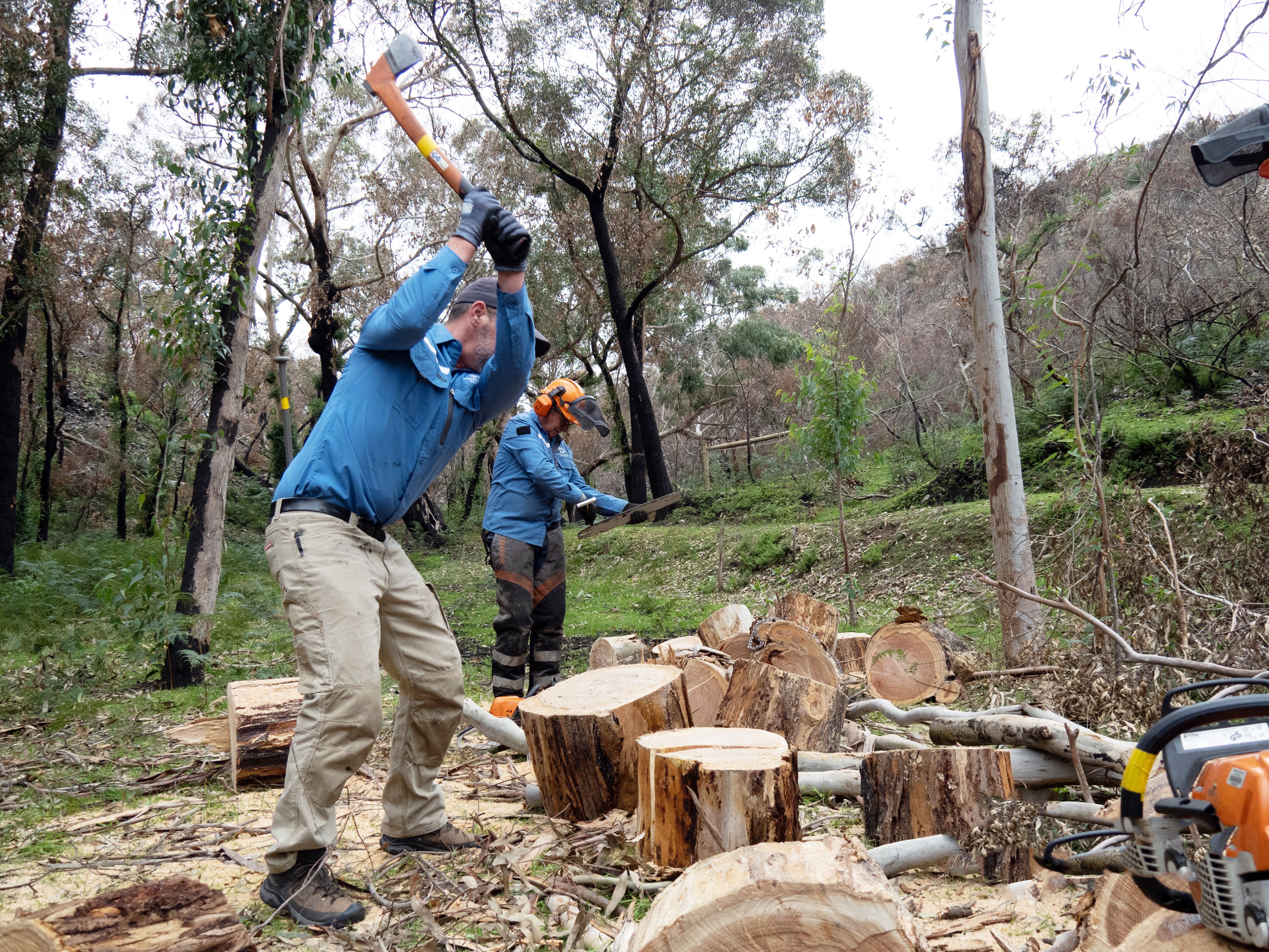 Disaster Relief Australia